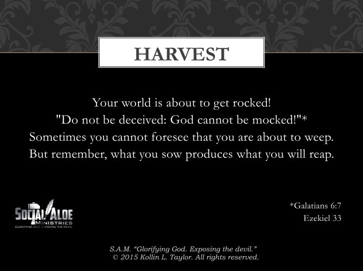 Harvest_1